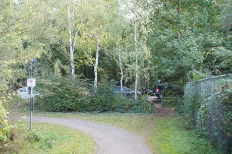Friesheim