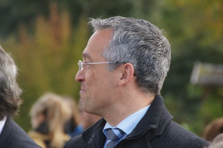 Friesheim