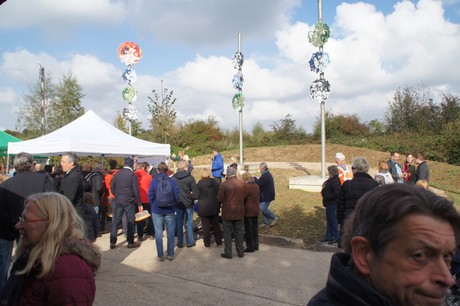 Friesheim