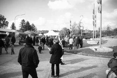 Friesheim