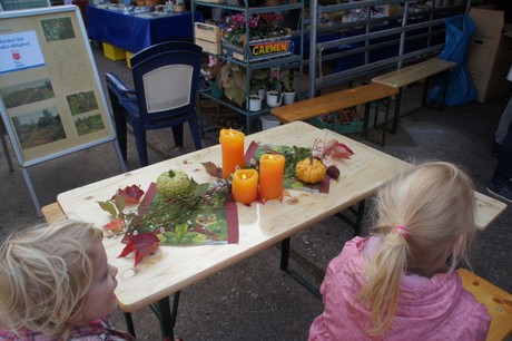 Friesheim