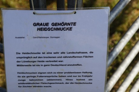 Friesheim