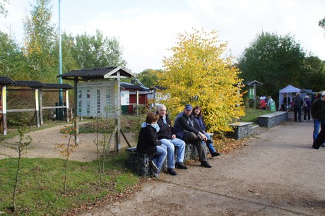 Friesheim