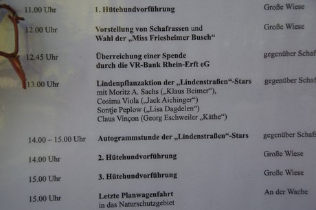 Friesheim