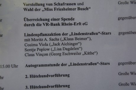 Friesheim