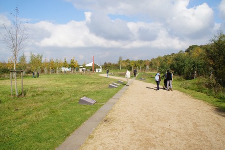 Friesheim