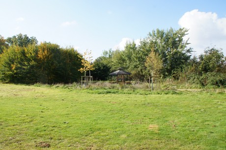 Friesheim