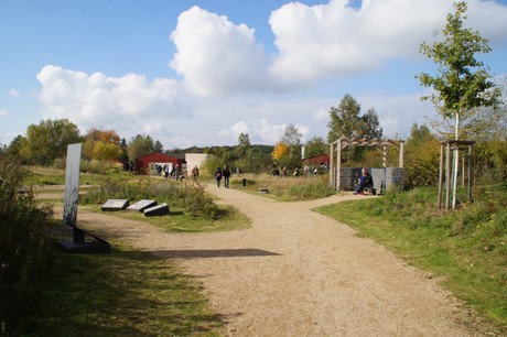 Friesheim