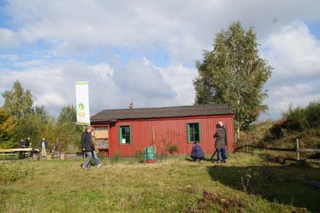 Friesheim