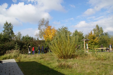 Friesheim