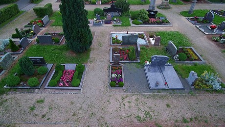 friesheim