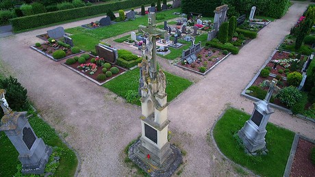 friesheim
