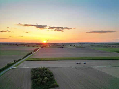 friesheim