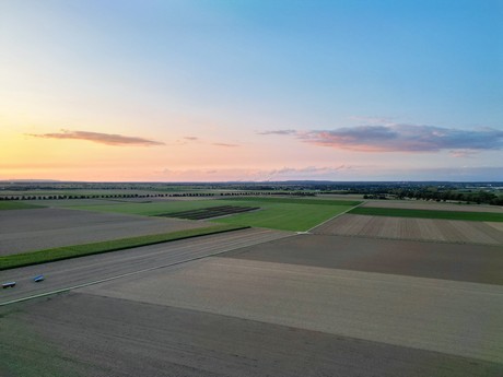 friesheim
