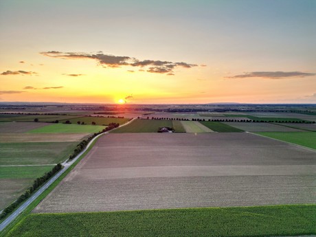 friesheim