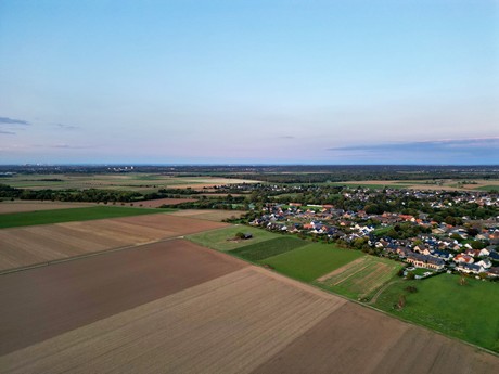 friesheim