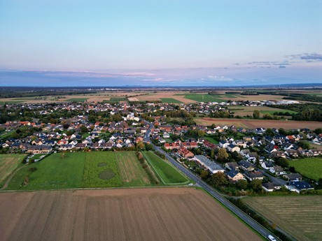 friesheim