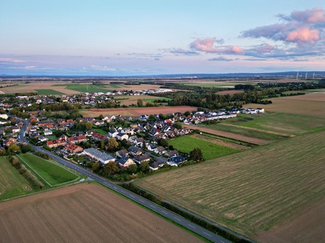 friesheim