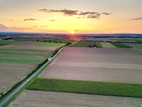friesheim