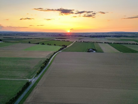 friesheim