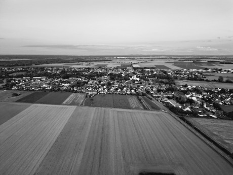 friesheim