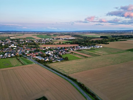 friesheim