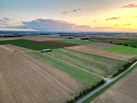 friesheim