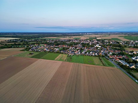 friesheim