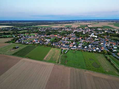 friesheim