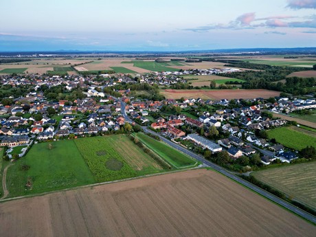 friesheim