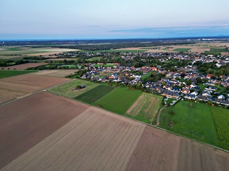 friesheim