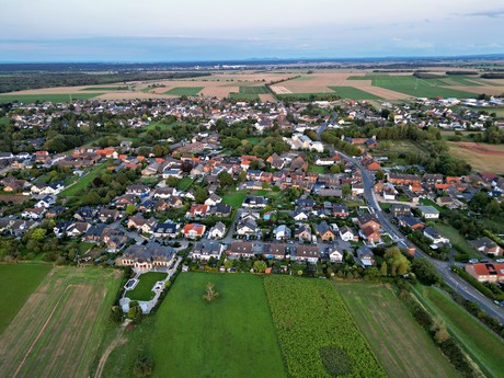 friesheim