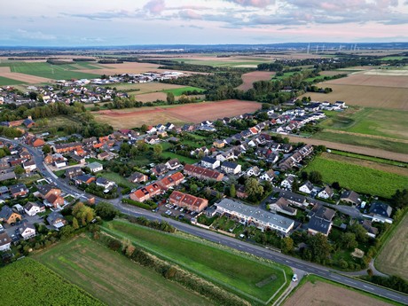 friesheim