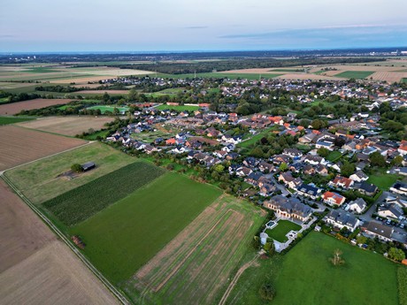 friesheim