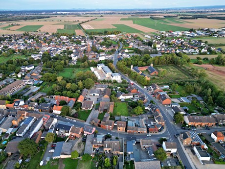 friesheim