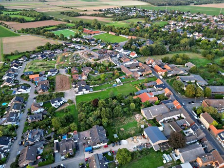 friesheim