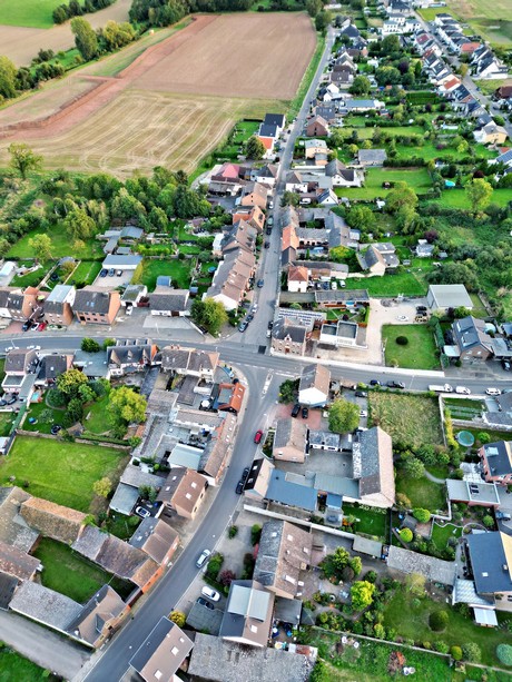 friesheim