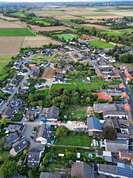 friesheim