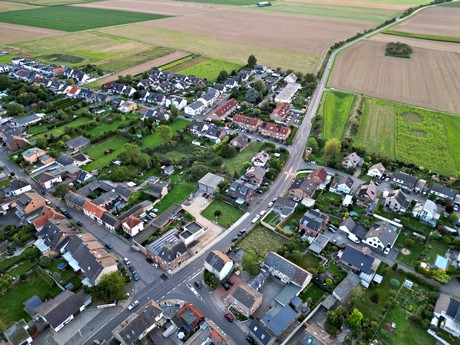 friesheim