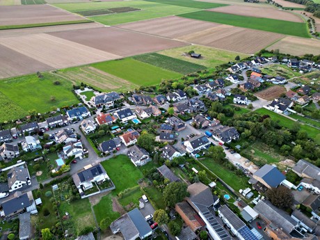 friesheim