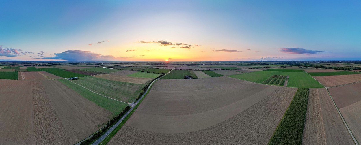 Friesheim