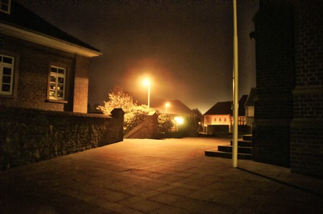 friesheim