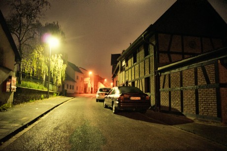 friesheim