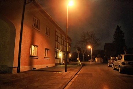 friesheim