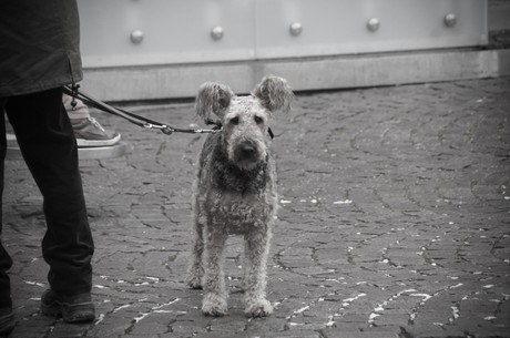 fulda