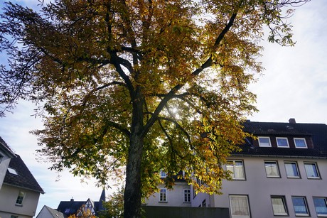 Gladenbach