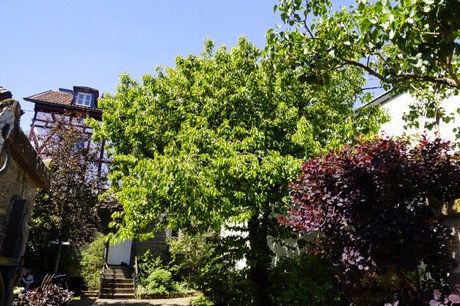 Goennersdorf