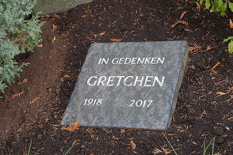 Guerzenich