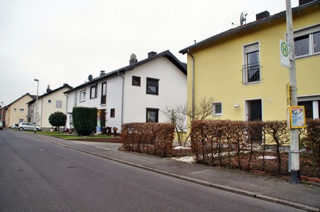 grube-carl