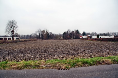 grube-carl